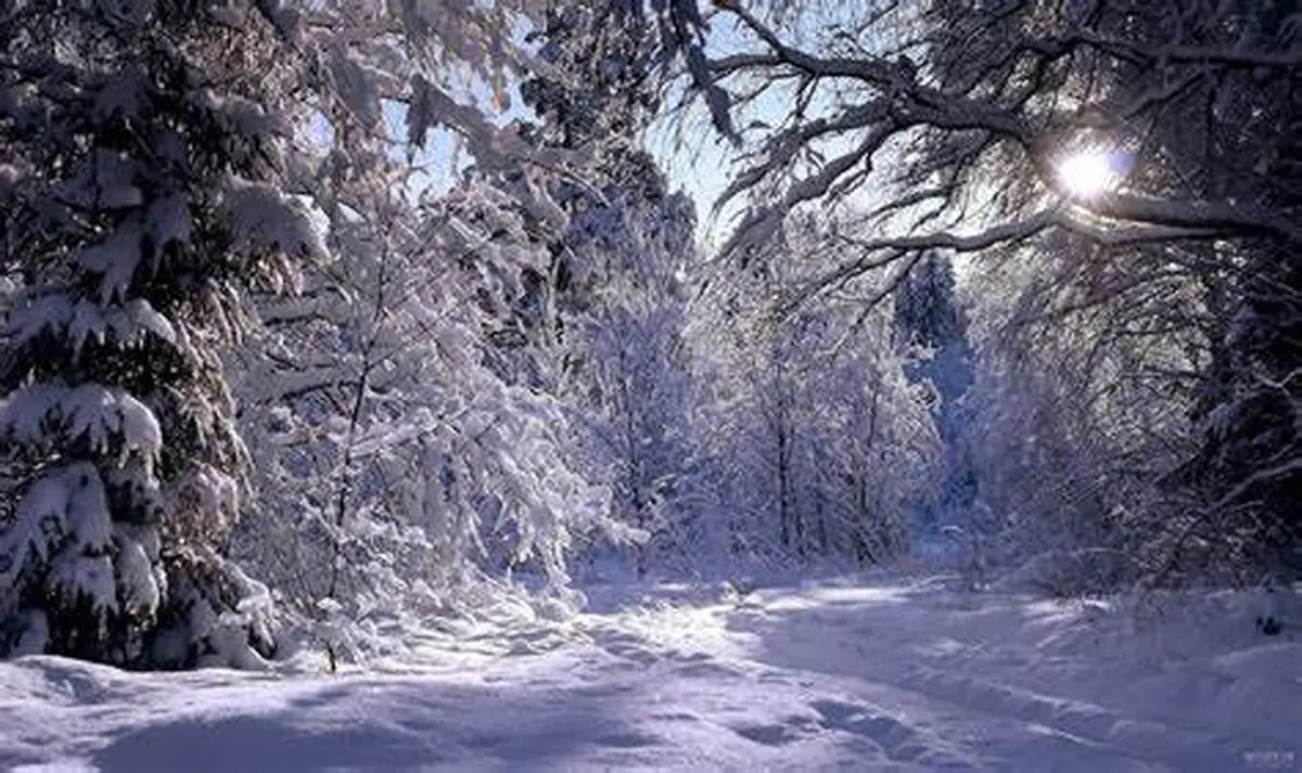  زمستان بدون برف در کریسمس اروپایی ها | تغییرات اقلیم نگران کننده