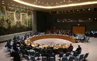 پیوستن ۵ کشور جدید به شورای امنیت سازمان ملل