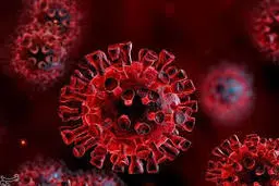 برای کنترل کرونا مناسبات اجتماعی را  تغییر بدهیم 