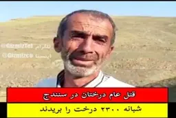 افراد ناشناس شبانه دو هزار و سیصد درخت ۸ ساله را در سنندج بریدند! + ویدئو