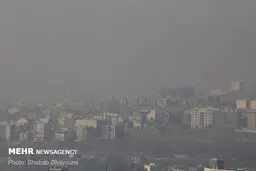 بهبود یافتگان کرونا مراقب آلودگی هوا باشند