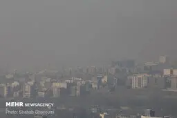 بهبود یافتگان کرونا مراقب آلودگی هوا باشند