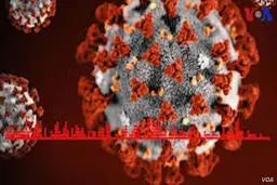 نشانه های کرونا بر اساس سن مبتلایان