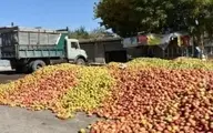 چه کسی مقصر از بین رفتن هزاران تن میوه مازاد است؟