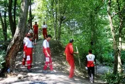 نجات سه مسافر تهرانی در جنگل‌های عباس آباد | پس از 6 ساعت جستجو مسافران تهرانی نجات یافتند.