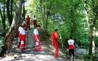 نجات سه مسافر تهرانی در جنگل‌های عباس آباد | پس از 6 ساعت جستجو مسافران تهرانی نجات یافتند.