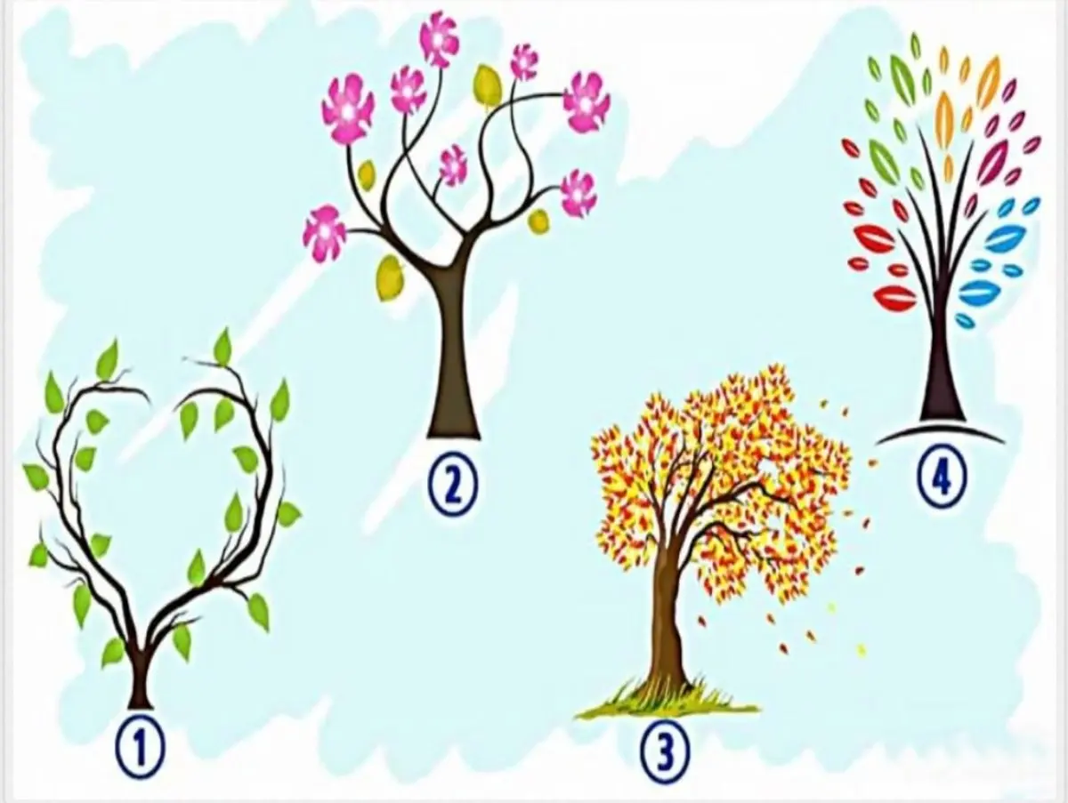 تست شخصیت شناسی | کدام درخت را انتخاب می‌کنید؟ | هر درختی رو انتخاب کنی شخصیتت رو لو میده! + پاسخ