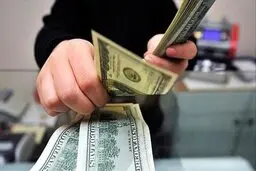 تغییرات جدید ارز مسافری | کاهش شرط سنی مسافران تا ۵ سال
