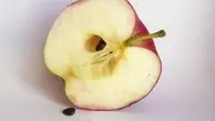 هسته‌ی سیب را بخورید! | فواید عجیب هسته‌ی سیب که هرگز نمی‌دانستید