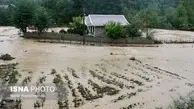 مردم گیلان در خانه بمانند