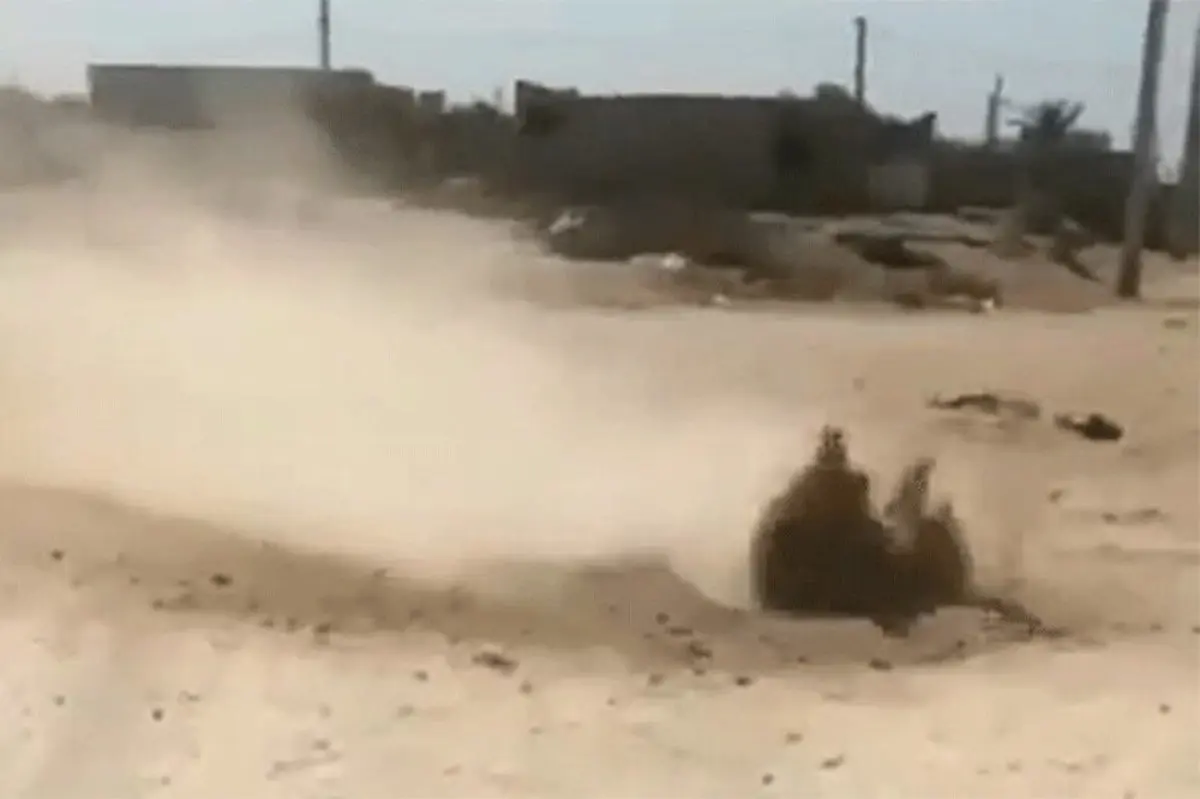  اتفاقی عجیب در خاک بوشهر  | خاک بوشهر در حال جوشیدن  +فیلم 