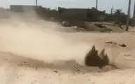  اتفاقی عجیب در خاک بوشهر  | خاک بوشهر در حال جوشیدن  +فیلم 
