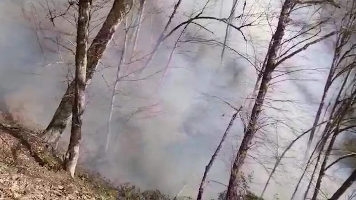 جنگل های رامسر غرق در آتش و دود