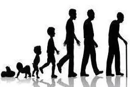  افزایش طول عمر با راه حل های آسان