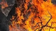 آتش‌سوزی |مقصر  حادثه حریق در جنگل‌های پره‌سر  شناسایی شد