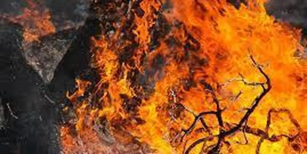 آتش‌سوزی |مقصر  حادثه حریق در جنگل‌های پره‌سر  شناسایی شد