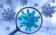 کشف ردپای غیر منتظره ای از ویروس کرونا