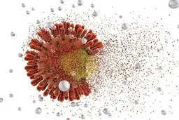 ماجرای دلمیکرون چیست؟ | همه چیز درباره جدیدترین سویه کرونا+تصویر