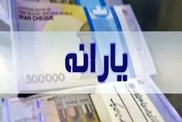  بساط یارانه را جمع کنید |  جراحی با چاقوی زنگ‌زده جواب نخواهد داد