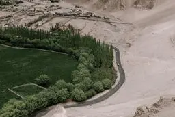 تبدیل شن به خاک و گل ارکیده در بیابان | طرح‌های جدید برای اقتصاد بیابان