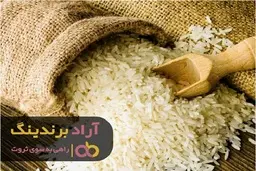ایده های پولساز دنیا و مشاغل خانگی موفق چیست؟