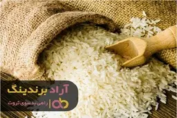 ایده های پولساز دنیا و مشاغل خانگی موفق چیست؟