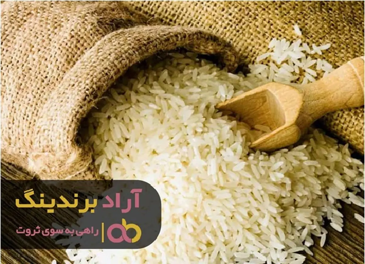 ایده های پولساز دنیا و مشاغل خانگی موفق چیست؟