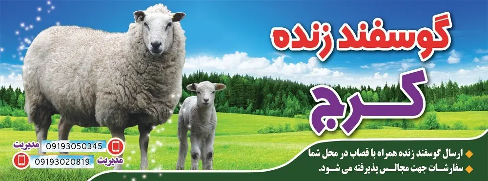 آشنایی با روش های خرید گوسفند زنده در کرج