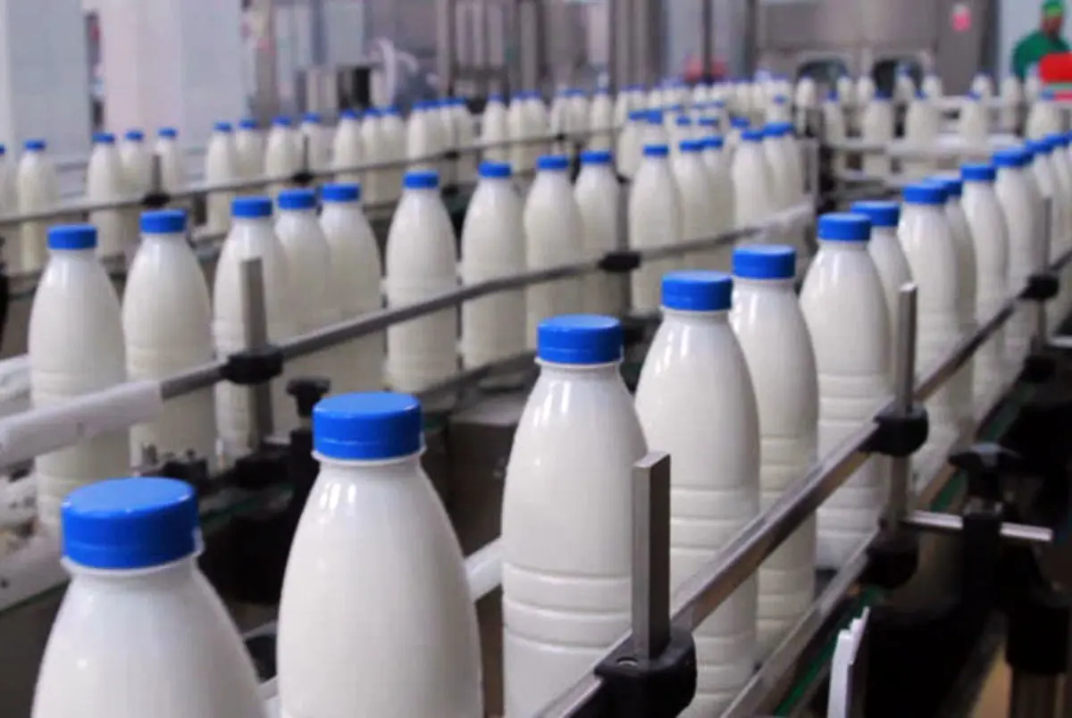قیمت شیر در یکسال ۱۰ برابر شد؟