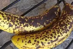 موز سیاه شده مفیده یا مضر؟ | قابل توجه کسایی که موز سیاه شده خریداری می‌کنند+ ویدئو