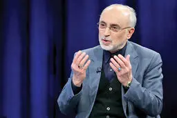 روایت صالحی از مسیر احیای برجام 