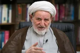 نمی خواستم کاندیدا شوم، اما اصرار کردند