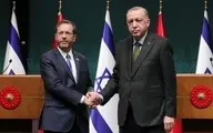 رسانه‌های عبری‌: مذاکرات محرمانه ترکیه و اسرائیل درباره احداث خط لوله و انتقال گاز به اروپا