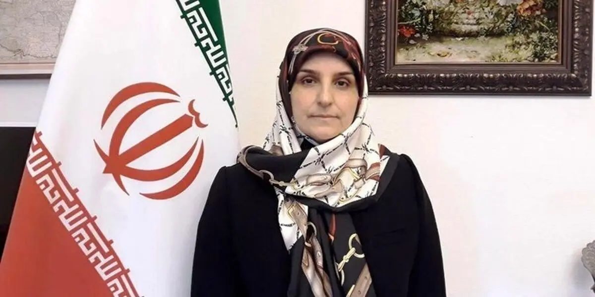 
 اقدام خشونت‌آمیز پلیس دانمارک با یک بانوی پناهجوی ایرانی +جزئیات
