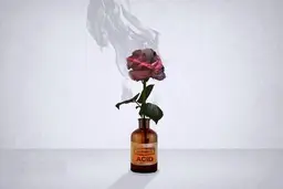 مردی در صدرای شیراز روی همسر موقت خود و پسر او اسید پاشید