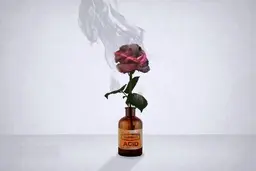 مردی در صدرای شیراز روی همسر موقت خود و پسر او اسید پاشید