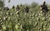 
روسیه: نیروهای آمریکادر افغانستان  رابه قاچاق مواد مخدرمتهم کرد.
