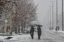 ورود سامانه بارشی به کشور از پنجشنبه 