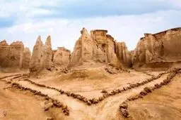 بررسی مجدد واگذاری طرح پرورش میگو در جزیره قشم