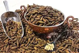 چرا چلغوز فحش نیست؟!