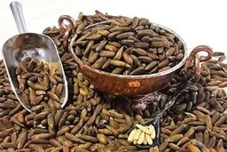 چرا چلغوز فحش نیست؟!