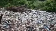 وضعیت زباله در جنگل زرین آباد، مازندران + ویدئو