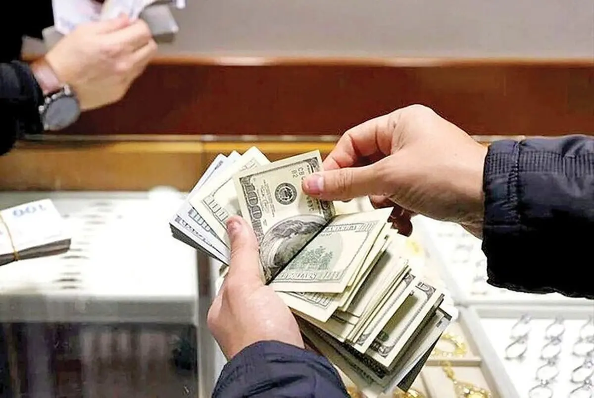 دلار حتما گران تر خواهد شد | یک اقتصاددان: بانک مرکزی از بالا رفتن قیمت دلار راضی است