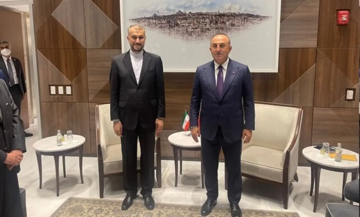 دعوت رییسی از اردوغان برای سفر به تهران