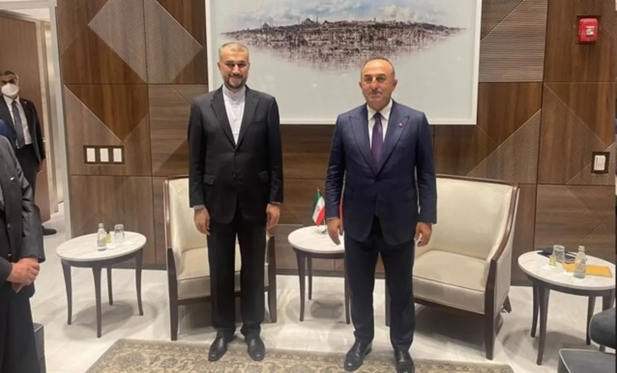 دعوت رییسی از اردوغان برای سفر به تهران