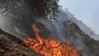 جنگل‌های گچساران در آتش سوخت ؛ اعزام چند هواپیما و بالگرد