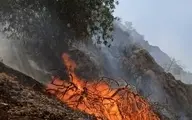 جنگل‌های گچساران در آتش سوخت ؛ اعزام چند هواپیما و بالگرد