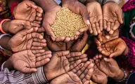 تهدید امنیت غذایی ناشی از شیوع کرونا | درس‌های جهانی و تجارب منطقه‌ای بحران انتشار کووید 19 بررسی شد