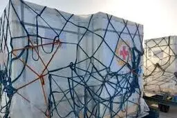 واکسن های اهدایی اتریش وارد ایران شد 