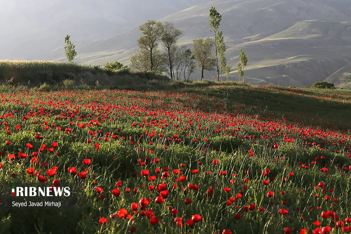 بهشت برین برروی زمین +عکس